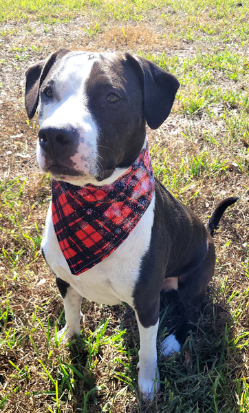 Snowflake Plaid Bandana